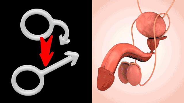 Healthy foods for improving blood circulation